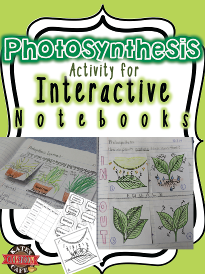 photosynthesis-interactive-activity