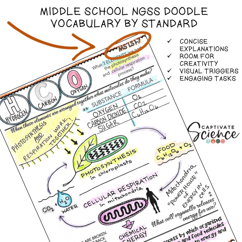 Life Science NGSS Doodle Vocabulary Set - From Molecules to Organisms - Image 2