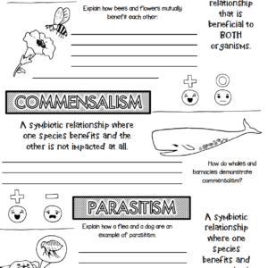 MS LS2 NGSS Ecosystems Doodle Note Bundle - Image 3