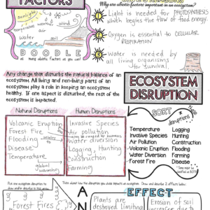 MS LS2 NGSS Ecosystems Doodle Note Bundle - Image 7